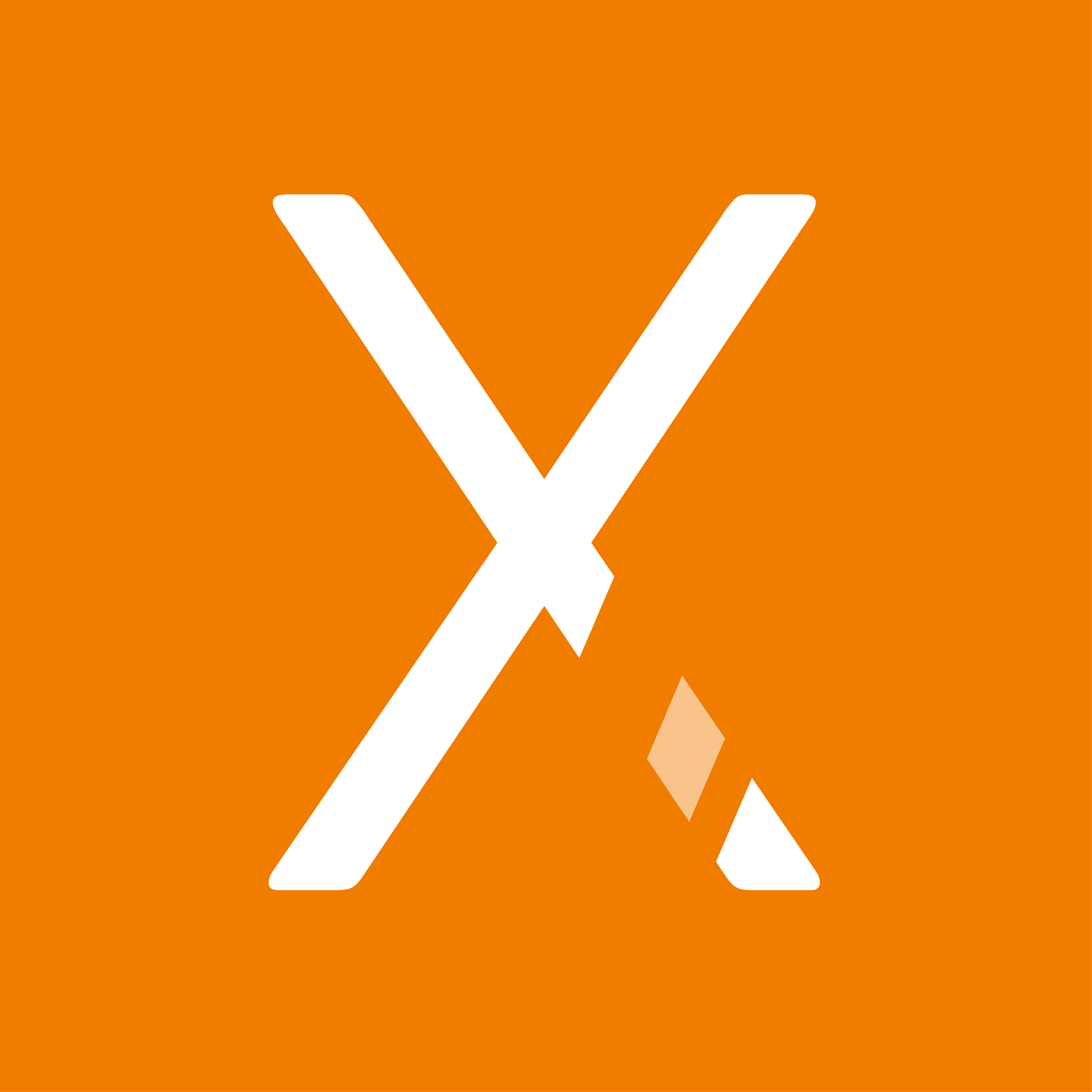Schmetterling Techniklösungen für Reisebüros XENA Logo - weißes X auf orangenem Hintergrund